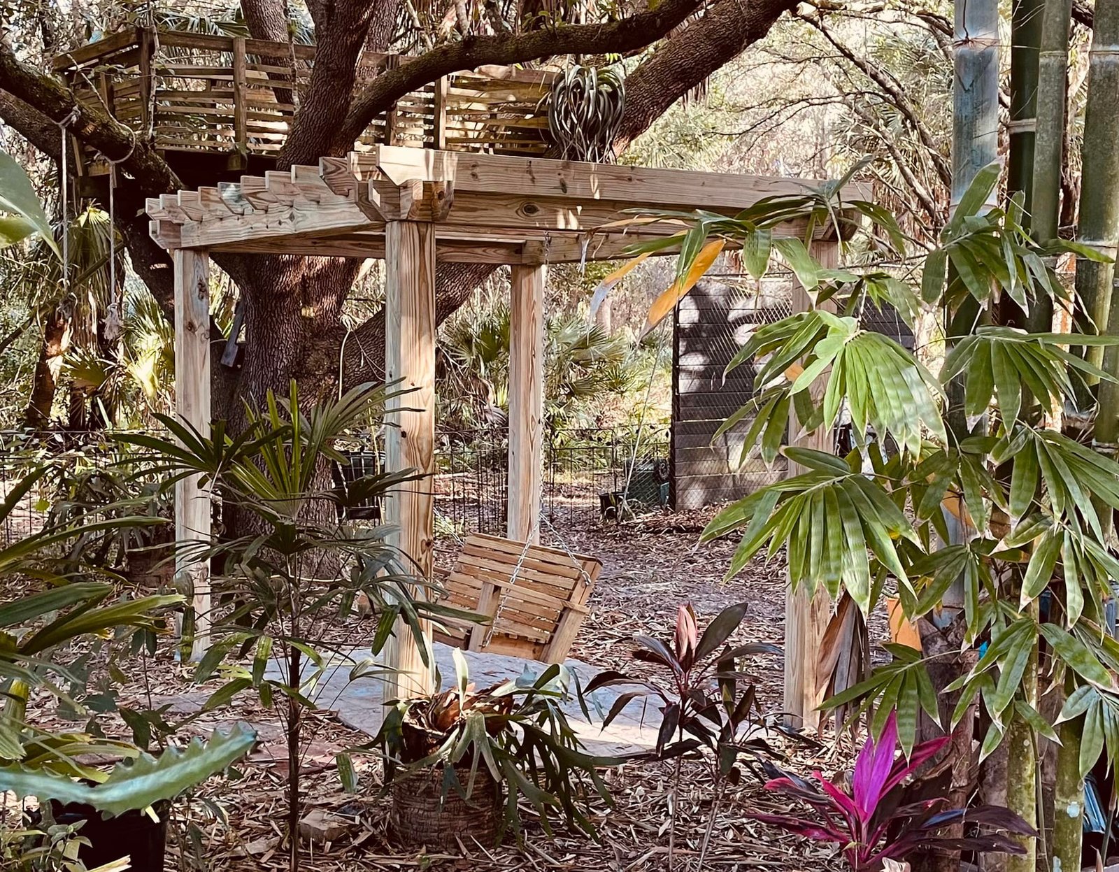 Pergola Installation on City of Greater Geelong